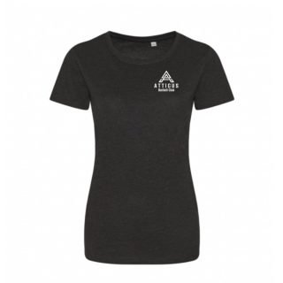 Ladies Logo Triblend Tee